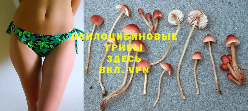 Псилоцибиновые грибы MAGIC MUSHROOMS  наркошоп  Саки 